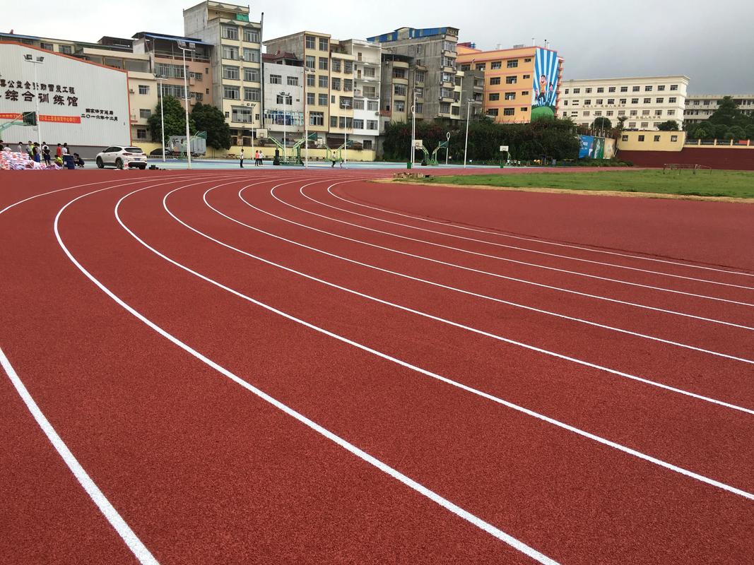 德州市EPDM颗粒塑胶跑道材料 - 价格